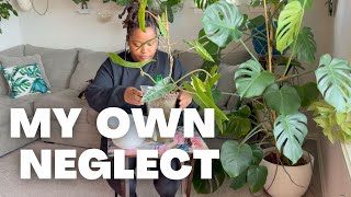 Plant Chores, Tiny Planters & a Plant I Almost Gave Up On