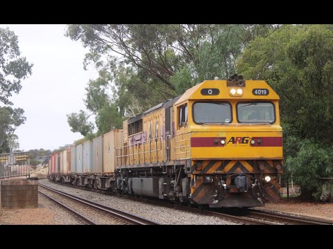 Q4019 is curving through Toodyay, with 7430 empty Sulphur containers from Malcom siding.
