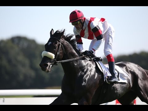 Köln: 50 Jahre EXPRESS-Rennen (D) - Sieger: Notre Same