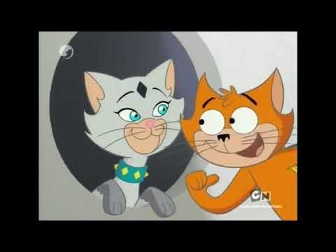 What Do You Think About This Couple #47