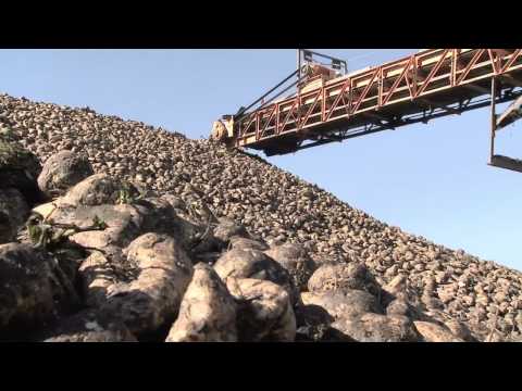 Special Episode: Sugar Beet Harvest- America's Heartland