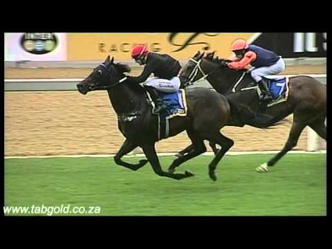 20151101 Greyville Race 6 won by SILVA HAWK