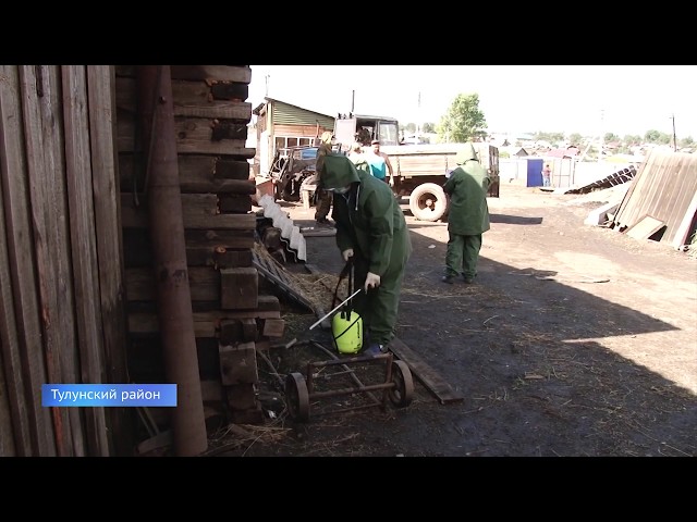 Ветеринаров заставили вернуться в зону паводков