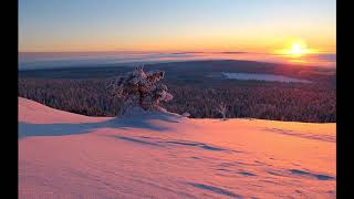 LEONARD COHEN ~ LOVE ITSELF