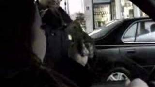 Pull Yourself Together