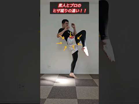 素人とプロのヒザ蹴りの違い！ #キックボクシング #ムエタイ #ヒザ蹴り #テンカオ #knee #เตะเข่า