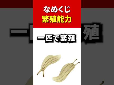 害虫を狩る植物は何ですか?げっ歯類、ナメクジ、昆虫に対する最強の防虫種！  庭園