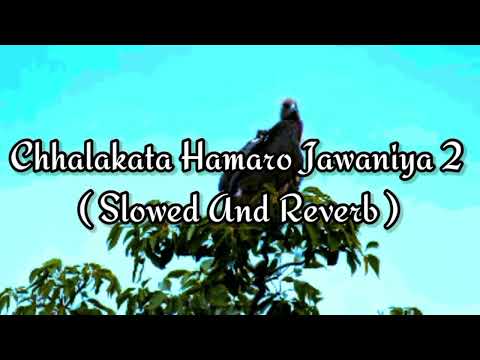 CHHALAKATA HAMARO JAWANIYA 2 SLOWED AND REVERB