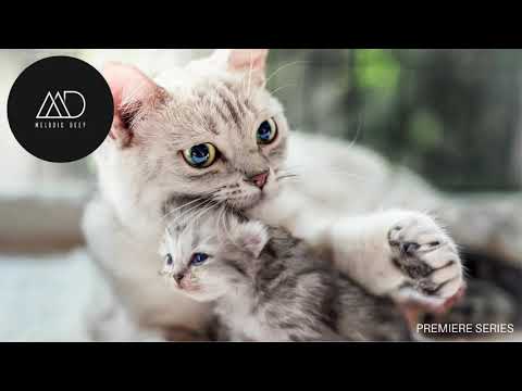 PREMIERE: Rafael Cerato feat. Aves Volare - Naive (Original Mix) [Perspectives]