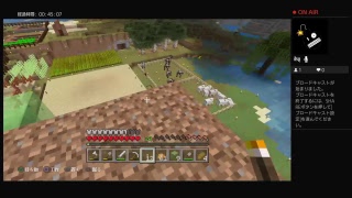 のんびりマイクラ