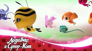 ЛЕДИ БАГ И СУПЕР-КОТ | 🐞 ОХОТНИЦА ЗА КВАМИ - Акуматизация 🐞 | СЕЗОН 3 | Официальный канал