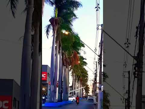 Av.Principal de Brasília de Minas!.Minas Gerais.