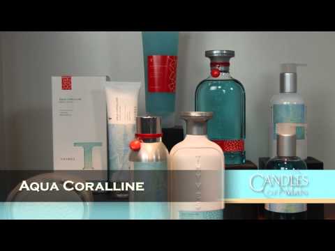 download lagu mp3 mp4 Thymes Kimono Rose Candle, download lagu Thymes Kimono Rose Candle gratis, unduh video klip Thymes Kimono Rose Candle