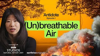 Download lagu Is Wildfire Smoke A Silent Killer? | Antidote Ep. 1 mp3
