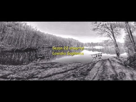 Sezon 22 otwarty! :) Łowisko Goplanica