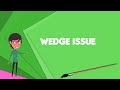 What is Wedge issue? Explain Wedge issue, Define Wedge issue, Meaning of Wedge issue
