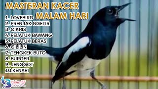 Download lagu Masteran kacer malam hari #masterankacer mp3