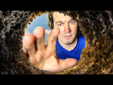 THIS Is The Secret To Pulling An Avoidant Out Of Limbo