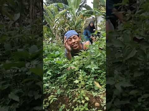 Bang feyy ketahuan ngintip 😂#lucu #comedy #ngakak #komedi #funny #memes #meme