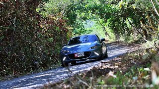 [賽道] 台灣拉力賽初體驗   （三次街車組冠軍）