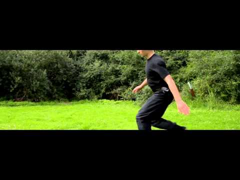 Kung Fu DEMO (2012) - Kai Jansen