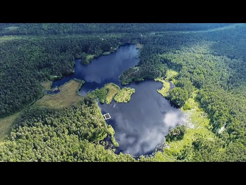 DONSKOVA - Live @ Melodic Sunset #001 [Melodic Techno | Progressive House] (Special Edition)