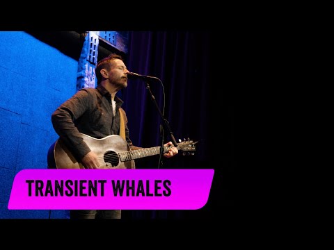 ONE ON ONE: Glen Phillips - Transient Whales January 22nd, 2023 City Winery New York