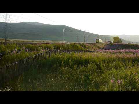 86612 & 86609, 4L81 Coatbridge   London Gateway, Elvanfoot, 23:07:2014