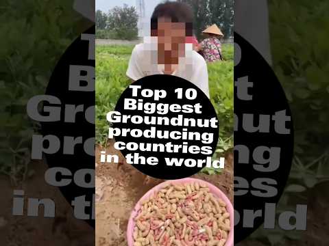 Top 10 Biggest Groundnuts Producers in the World #shorts #short #shortfeed #viral