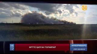 Солтүстікте шошқалар тірідей жанып жатыр