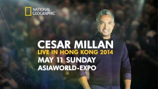 Cesar Millan Live in Hong Kong 2014 - May 11th at AsiaWorld-Expo