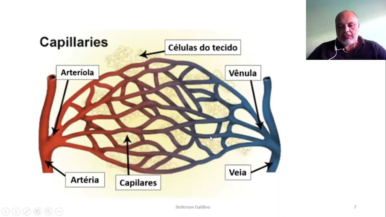 Biofísica dos fluidos- Hidrostática e Hidrodinâmica do Sangue