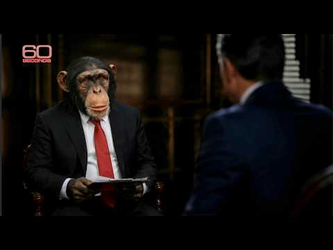 "60 SECONDS" - Hegseth on Testosterone