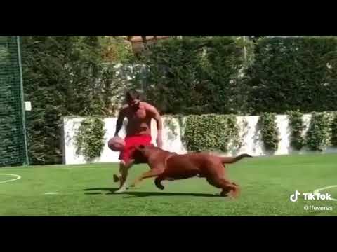 Dame la pelota la concha de tu hermana