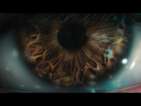 Irama - La genesi del tuo colore (Official Video) [Sanremo 2021]