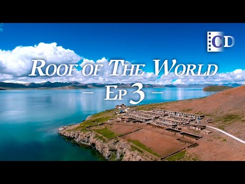 Ode to the Plateau: A Young Tibetan's Horse Racing Dream【Roof of the World】Ep3 | China Documentary