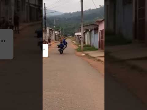 Mucho duro firulay pa desacatase de nuevo en un motor 🤣 #firulais #viralvideo #viral