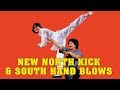 Wu Tang Collection - New North Kick & South Hand Blows - ENGLISH Subtitled