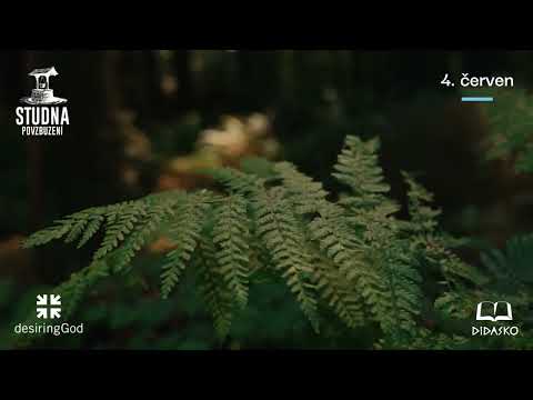 Na co je Bůh pyšný - 4. červen, denní zamyšlení s Johnem Piperemp
