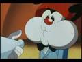 Animaniacs AMV Dot Again