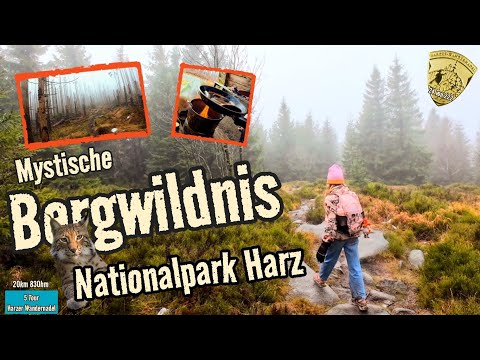 Harz - Drei Annen Hohne | Unvergessliche Wanderung - Eisige Gipfel , wilde Täler | 20km 830hm 