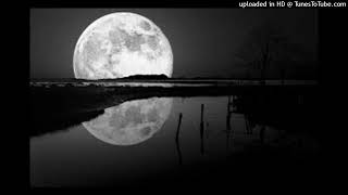 John Lydon - Psychopath (Leftfield Mix)