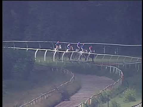 Galoppo 13/07/2019 - 7ª corsa