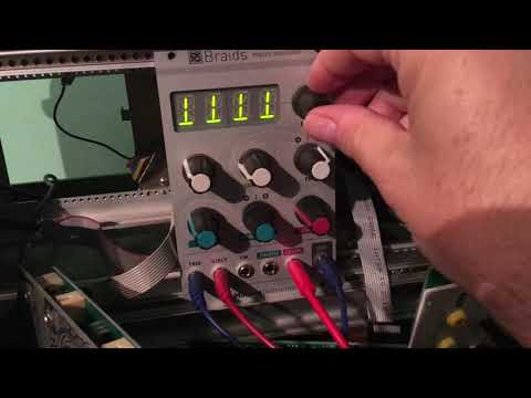Mutable Instruments Braids for sale