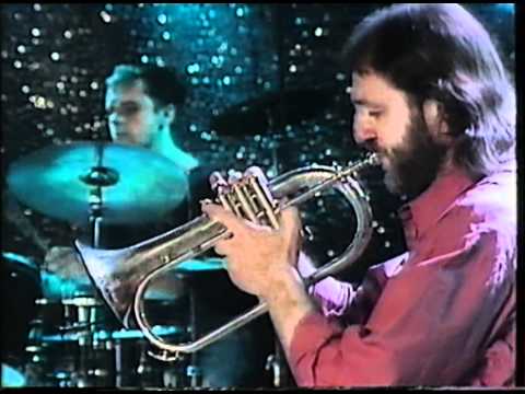 Milan Svoboda - Gemini