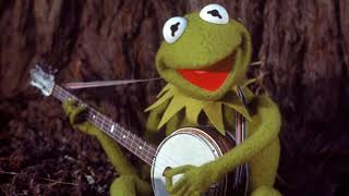 Kermit The Frog Sings It’s Not Easy Being Green