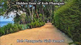 Koh Phangan’ın Gizli Cenneti: Haad Son Resort & Koh Raham | Thailand's Hidden Ge