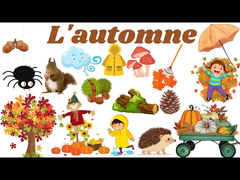 Le vocabulaire de l'automne en français.