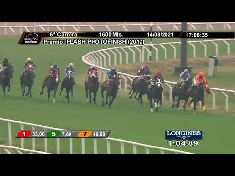 210814 c06 PULPO OLLERO