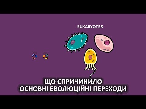 Test test asdads0q, відео 2